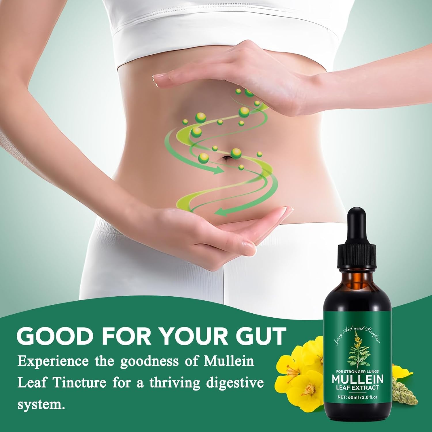 Mullein Leaf Extract for Lungs,60Ml Premium Mullein Leaf Extract Drops Balance Mullein Drops for Lungs,Vegan Premium Mullein Leaf Extract Fast Absorption